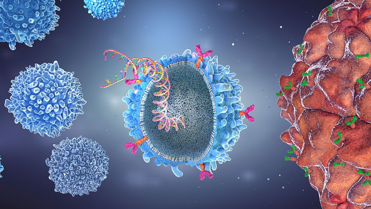 Quelles thérapies cellulaires pour quelles maladies du sang?